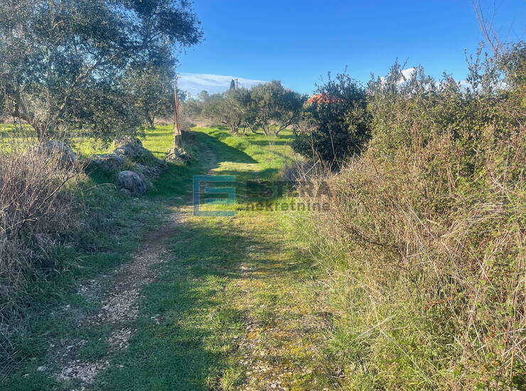 Građevinsko zemljište PRODAJA Mrljane, otok Pašman 857 m2, 300 do mora — fotografija 3