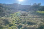 Građevinsko zemljište PRODAJA Mrljane, otok Pašman 857 m2, 300 do mora — fotografija 5