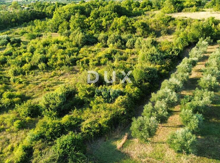 ZADAR, MURVICA - Poljoprivredno zemljište na mirnoj lokaciji 1144 m2 — fotografija 2