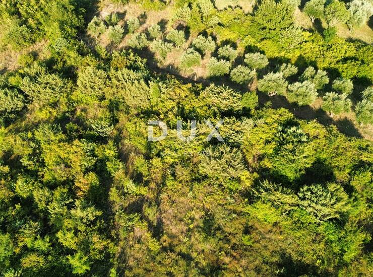 ZADAR, MURVICA - Poljoprivredno zemljište na mirnoj lokaciji 1144 m2 — fotografija 4