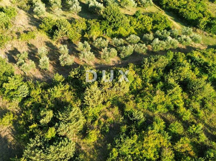 ZADAR, MURVICA - Poljoprivredno zemljište na mirnoj lokaciji 1144 m2 — fotografija 5