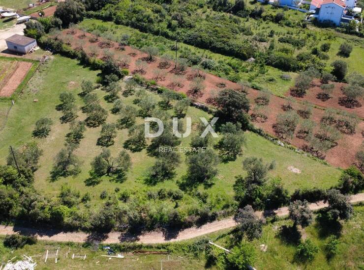 ZADAR, TURANJ - Građevinsko zemljište 500 metara od mora! — fotografija 2