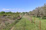 ZADAR, MURVICA - Poljoprivredno zemljište na mirnoj lokaciji 961 m2 — fotografija 2