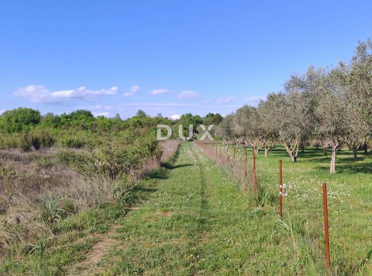 ZADAR, MURVICA - Poljoprivredno zemljište na mirnoj lokaciji 961 m2 — fotografija 2
