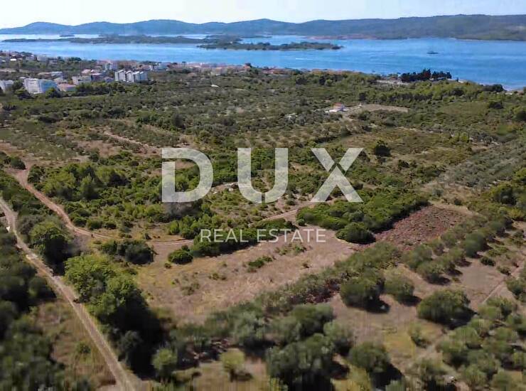 ZADAR, TURANJ - Maslinik s 55 maslina - 3143m² — fotografija 4