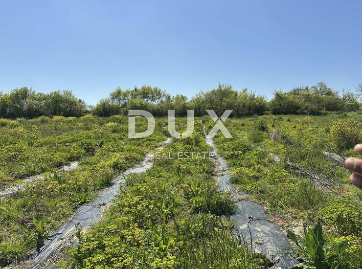 ZADAR, MURVICA - Poljoprivredno zemljište s potencijalom - 3000m²
