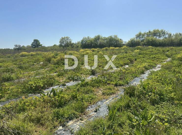 ZADAR, MURVICA - Poljoprivredno zemljište s potencijalom - 3000m² — fotografija 2