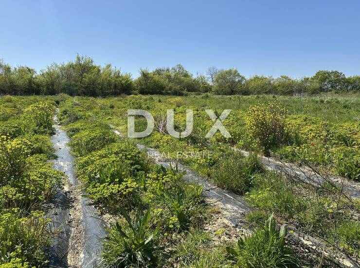 ZADAR, MURVICA - Poljoprivredno zemljište s potencijalom - 3000m² — fotografija 3