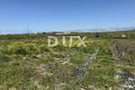 ZADAR, MURVICA - Poljoprivredno zemljište s potencijalom - 3000m² — fotografija 6