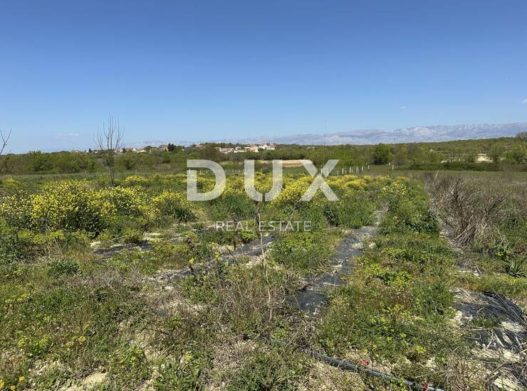 ZADAR, MURVICA - Poljoprivredno zemljište s potencijalom - 3000m² — fotografija 6