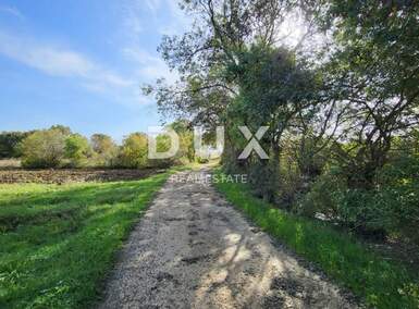 Zemljiste, Poličnik 4.034m² - 40.000 € | SveHrNekretnine