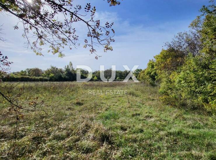 POLIČNIK, ZADAR - Poljoprivredno zemljište s izvorom pitke vode — fotografija 6