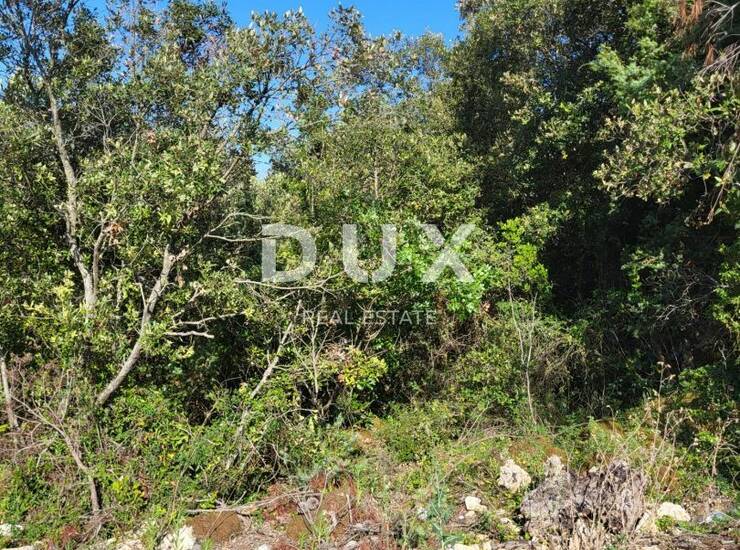 NEVIĐANE, PAŠMAN - Poljoprivredno zemljište na rubu građevinske zone! — fotografija 3