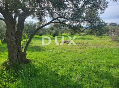 Zemljiste, Bibinje 1.380m² - 290.000 € | SveHrNekretnine