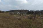 Zemljiste, Buje, prodaja, 39999 €, 1550 m2
