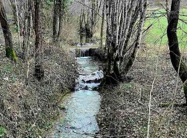 Kuća, Pazin 172m² - 333.000 € | SveHrNekretnine