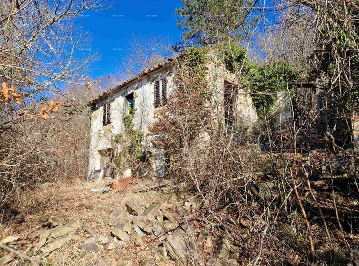 Veliko imanje s potencijalom – Pazin, srce Istre

Na prodaju je prostrano... — fotografija 2