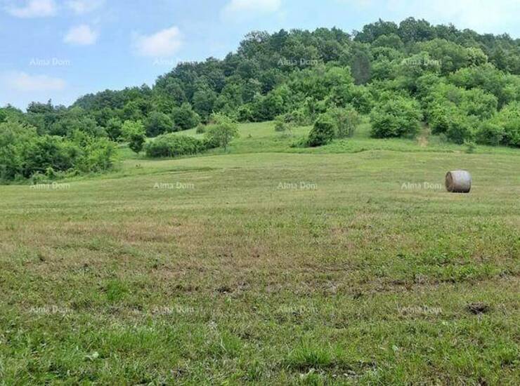 Veliko imanje s potencijalom – Pazin, srce Istre

Na prodaju je prostrano... — fotografija 3