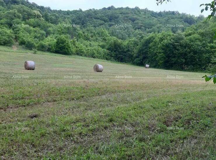 Veliko imanje s potencijalom – Pazin, srce Istre

Na prodaju je prostrano... — fotografija 5
