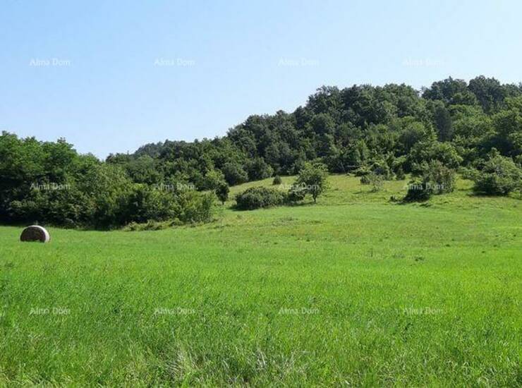 Veliko imanje s potencijalom – Pazin, srce Istre

Na prodaju je prostrano... — fotografija 6