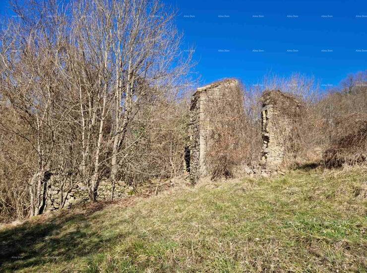 Veliko imanje s potencijalom – Pazin, srce Istre

Na prodaju je prostrano... — fotografija 7