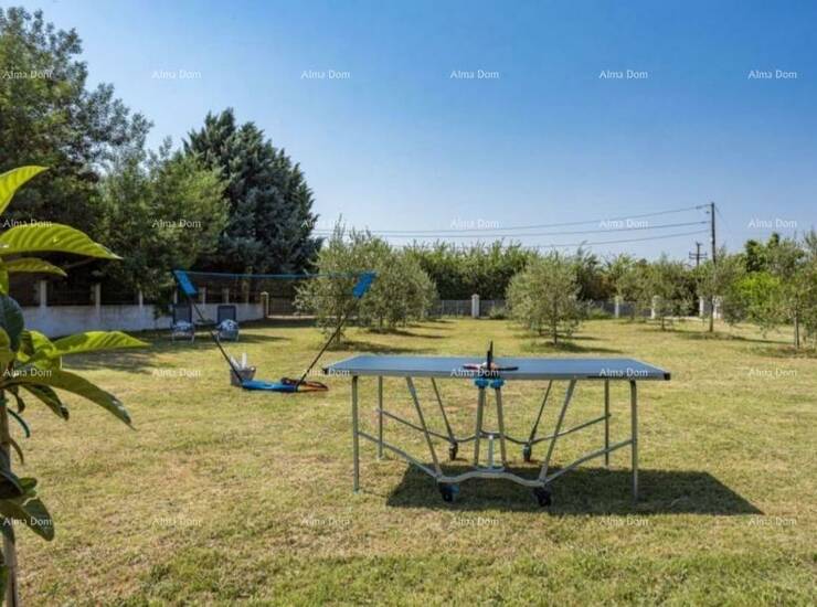LOBORIKA – KUĆA S VELIKOM OKUĆNICOM I GRAĐEVINSKIM PARCELAMA

U ponudi... — fotografija 4