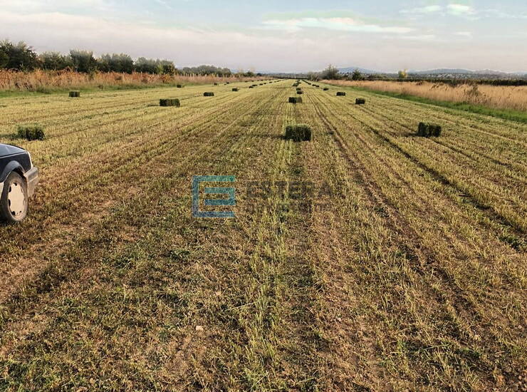 Poljoprivredno zemljište PRODAJA 25.000 m2, Nadin — fotografija 6