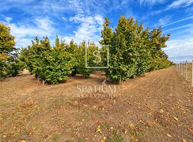 Zemljiste Sotin, Vukovar 20.322m² - 47.900 € | SveHrNekretnine