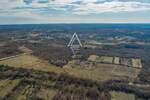 Istra, Svetvinčenat, maslinik s 250 stabala maslina — fotografija 3