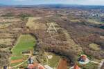 Istra, Svetvinčenat, maslinik s 250 stabala maslina — fotografija 4