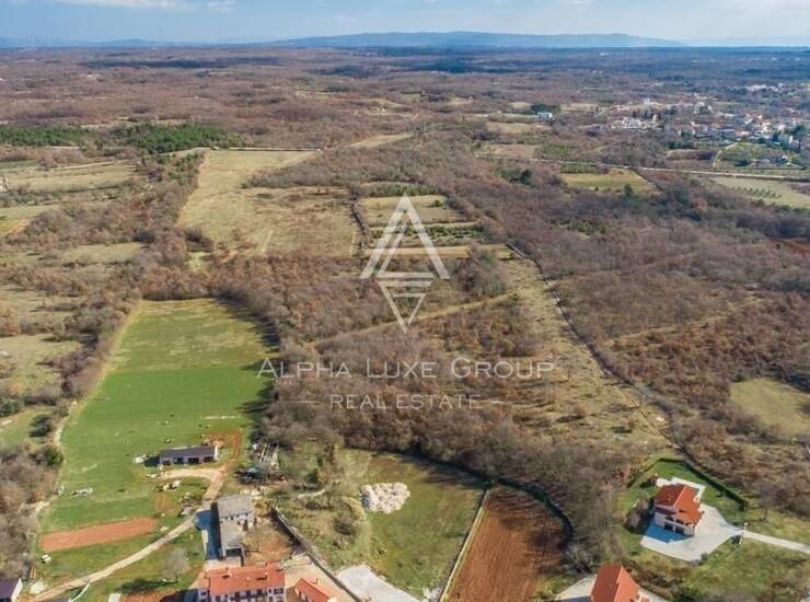 Istra, Svetvinčenat, maslinik s 250 stabala maslina — fotografija 4