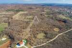 Istra, Svetvinčenat, maslinik s 250 stabala maslina — fotografija 5