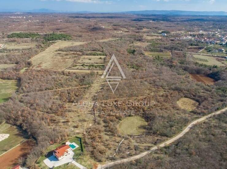Istra, Svetvinčenat, maslinik s 250 stabala maslina — fotografija 5