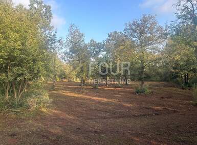 Zemljiste Peroj, Vodnjan 3.349m² - 80.000 € | SveHrNekretnine