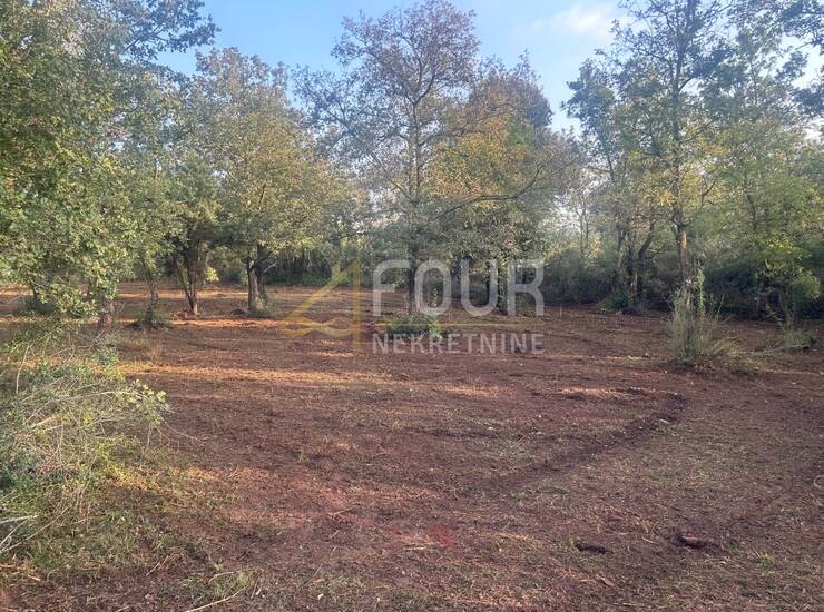 Istra, Vodnjan, Peroj, poljoprivredno zemljište, 3.349m2 — fotografija 2