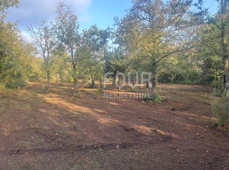Istra, Vodnjan, Peroj, poljoprivredno zemljište, 3.349m2 — fotografija 3