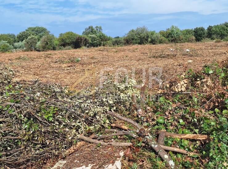 Istra, Vodnjan, Peroj, poljoprivredno zemljište, 3.349m2 — fotografija 4