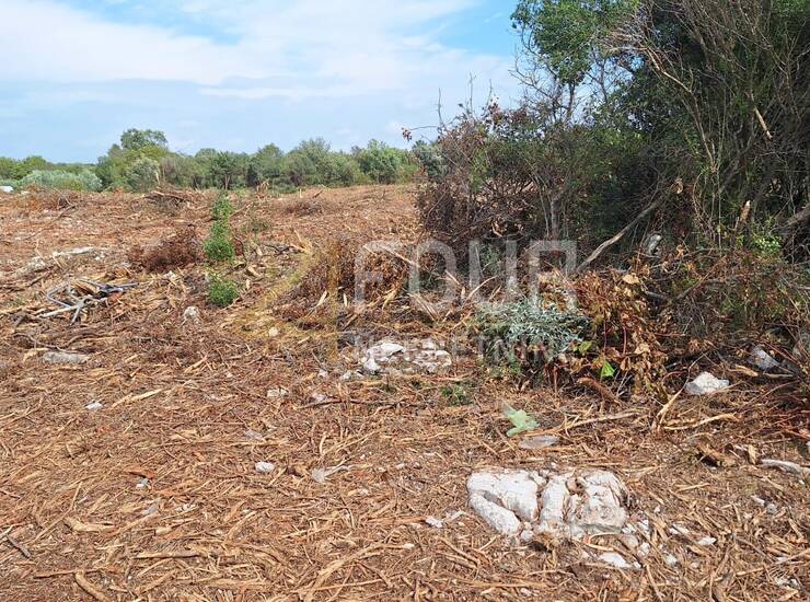 Istra, Vodnjan, Peroj, poljoprivredno zemljište, 3.349m2 — fotografija 5