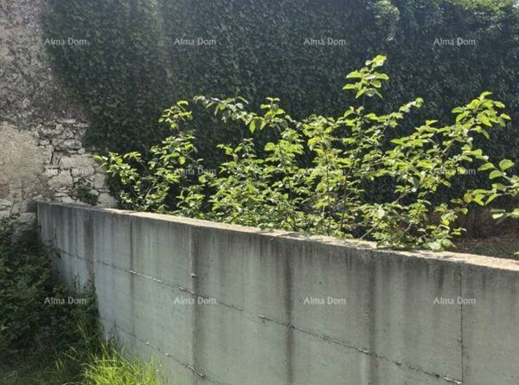 PRODOL, MARČANA – Autohtona istarska kamena kuća s okućnicom za komple... — fotografija 4