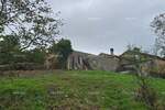 Oglas