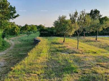 Zemljiste, Marčana - 80.000 € | SveHrNekretnine
