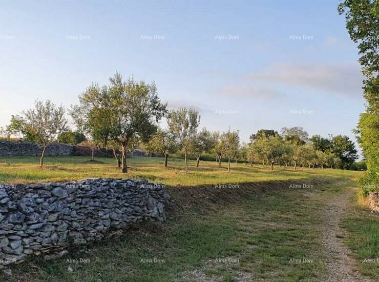Prodaje se građevinsko zemljište u mjestu Filipana.

Mirna lokacija pogod... — fotografija 2