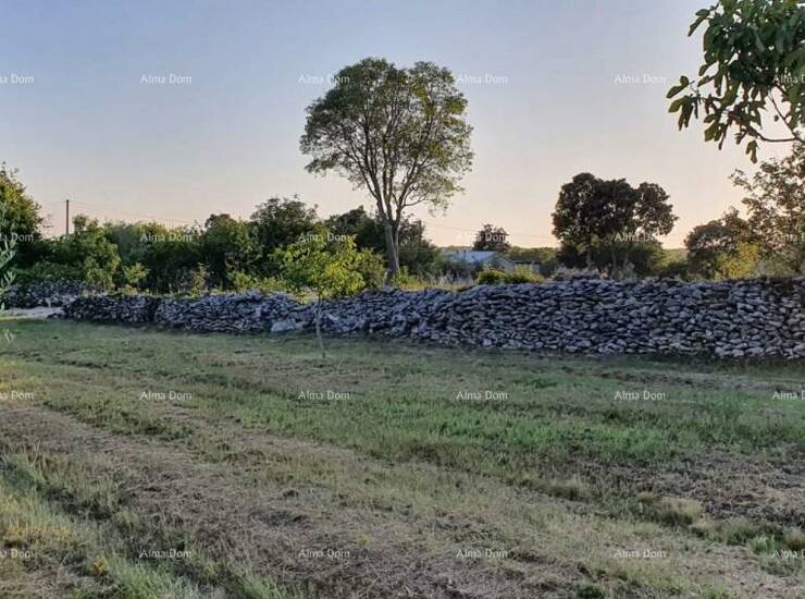 Prodaje se građevinsko zemljište u mjestu Filipana.

Mirna lokacija pogod... — fotografija 6