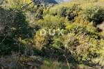 Istra, Motovun, poljoprivredno zemljište, 3549 m2 — fotografija 2
