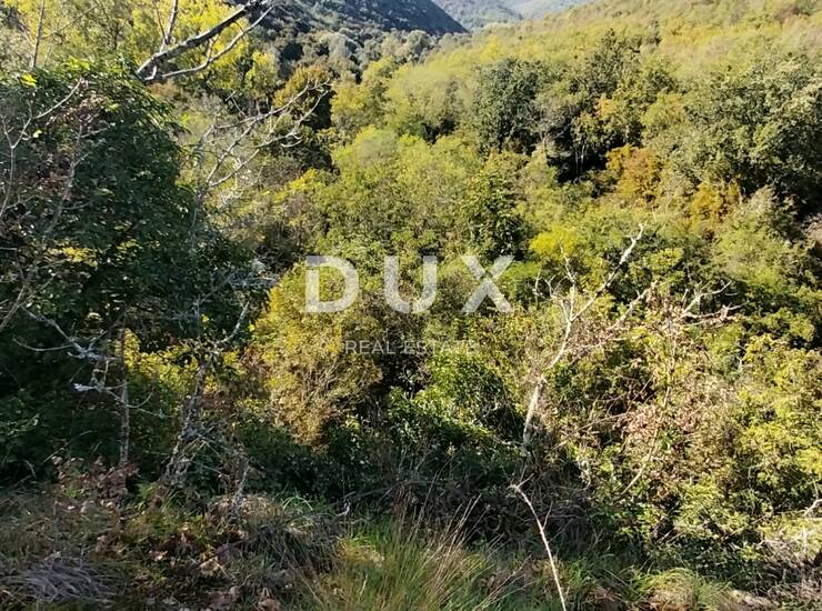 Istra, Motovun, poljoprivredno zemljište, 3549 m2 — fotografija 2