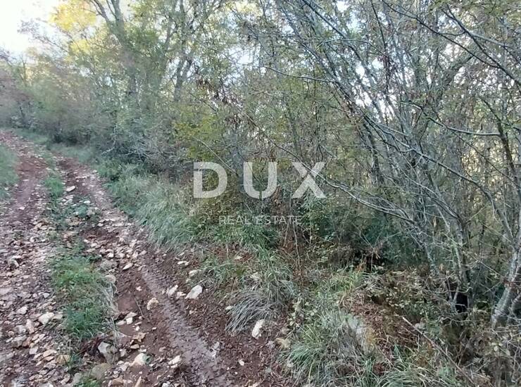 Istra, Motovun, poljoprivredno zemljište, 6605 m2 — fotografija 2