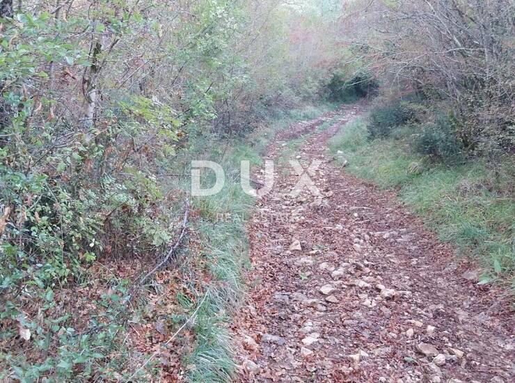 Istra, Motovun, poljoprivredno zemljište, 6605 m2 — fotografija 3