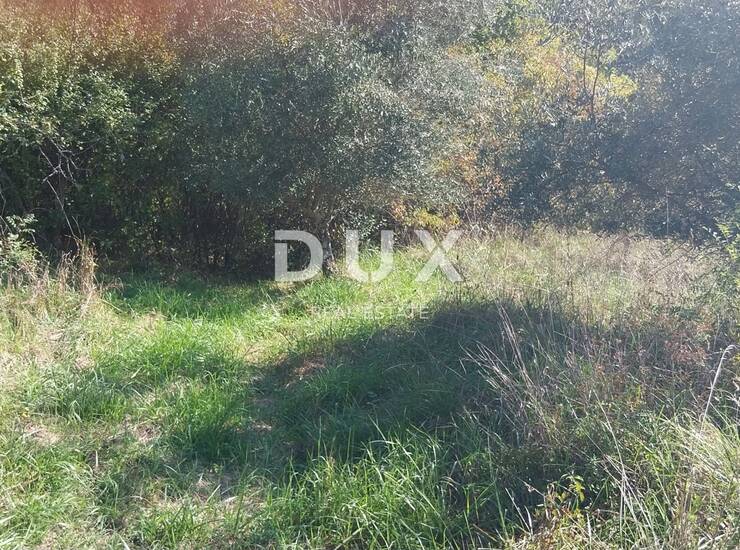 Istra, Motovun, poljoprivredno zemljište, 1622 m2 — fotografija 3