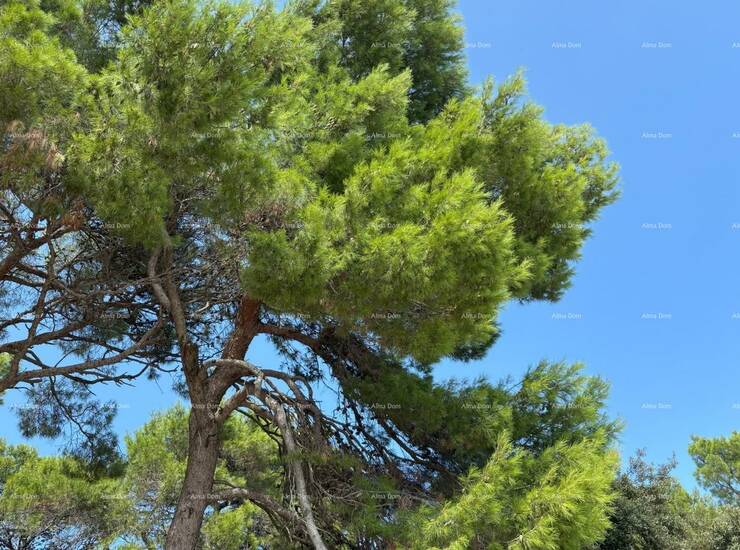 Ova izuzetna rezidencija nalazi se u prestižnom dijelu Rovinja, samo 200 m... — fotografija 9