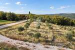Buje, Kaštel, savršeno zemljište 553 m2 blizu granice! — fotografija 6